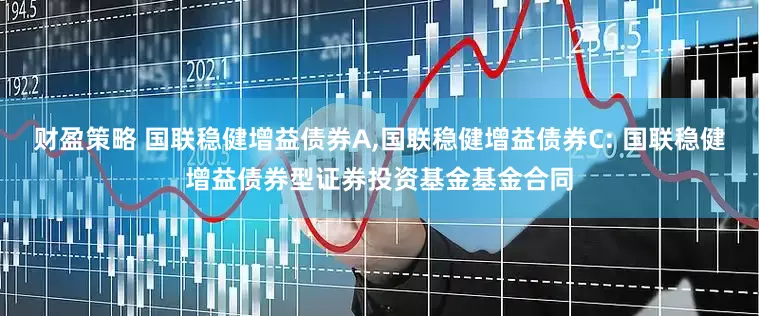 财盈策略 国联稳健增益债券A,国联稳健增益债券C: 国联稳健增益债券型证券投资基金基金合同