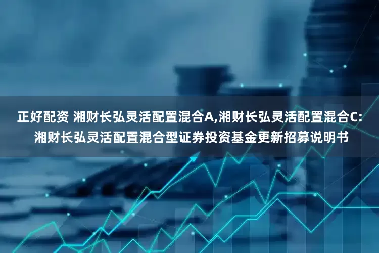 正好配资 湘财长弘灵活配置混合A,湘财长弘灵活配置混合C: 湘财长弘灵活配置混合型证券投资基金更新招募说明书
