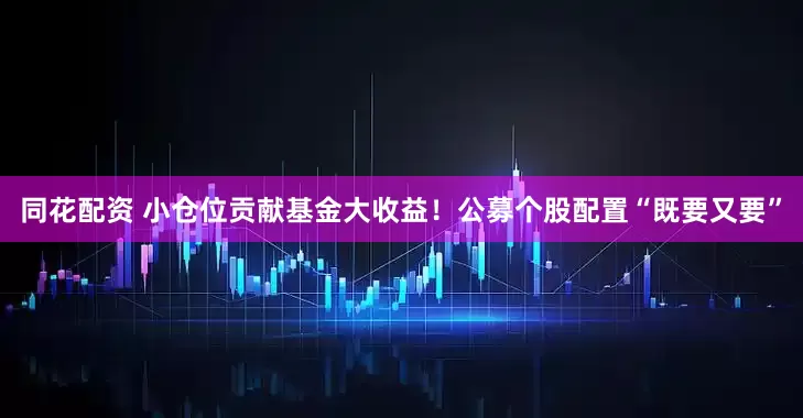 同花配资 小仓位贡献基金大收益！公募个股配置“既要又要”